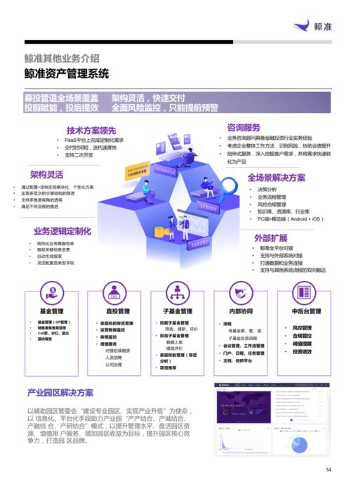 軟件與服務(wù)板塊表現(xiàn)搶眼，信息技術(shù)咨詢服務(wù)引領(lǐng)增長(zhǎng)