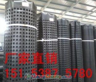 供應(yīng)延邊優(yōu)質(zhì)塑料排水板與車庫(kù)排水板——專業(yè)建筑建材解決方案